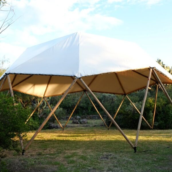 FESTIVAL DE AGRICULTURA BIODINÁMICA