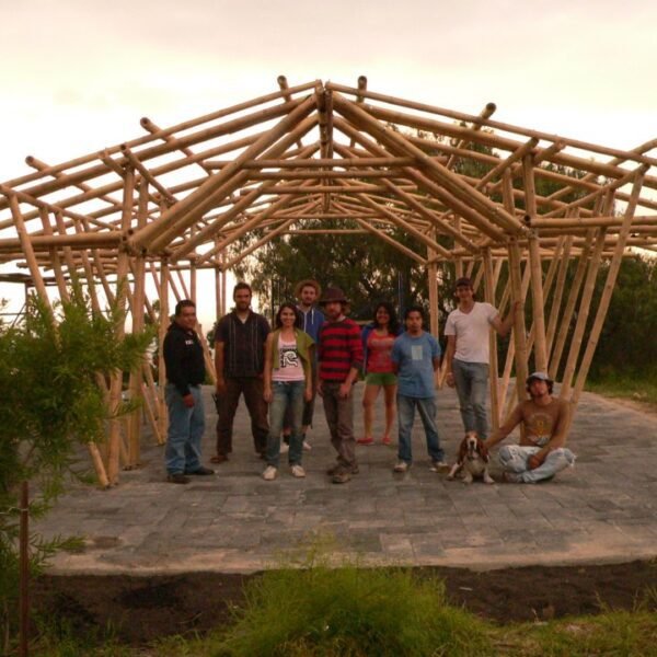 TALLER ECTAGONO +TIERRA PERMANENTE 2020