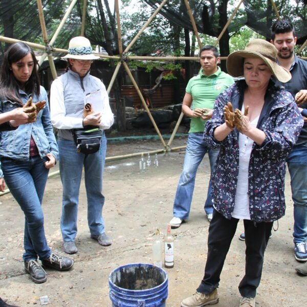 TALLER BAHAREQUE 2015